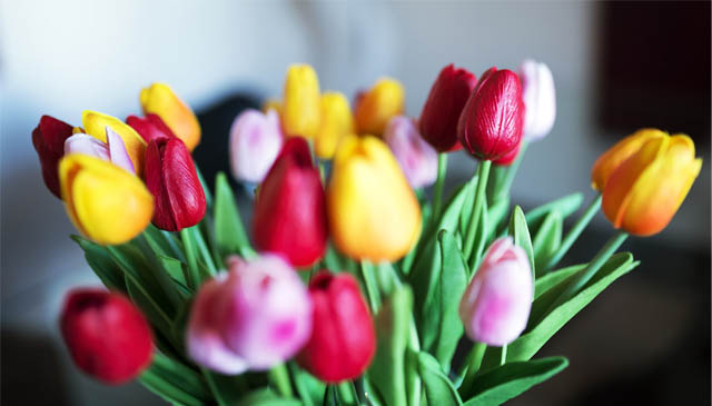 Bouquet de tulipes artificielles multicolores